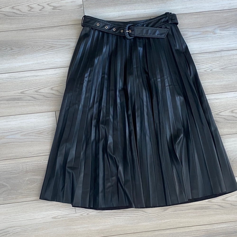 Zara Black A-Line Pleated Skirt